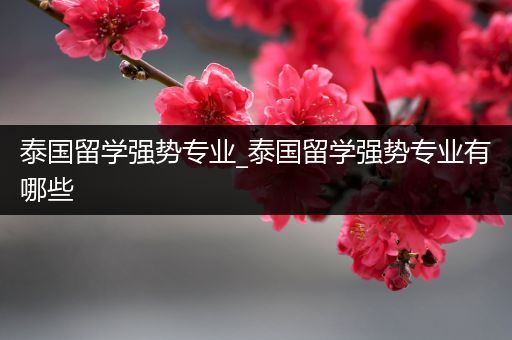 泰国留学强势专业_泰国留学强势专业有哪些