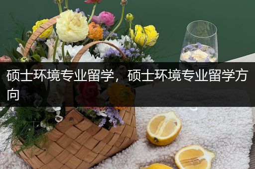 硕士环境专业留学，硕士环境专业留学方向