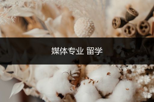 媒体专业 留学