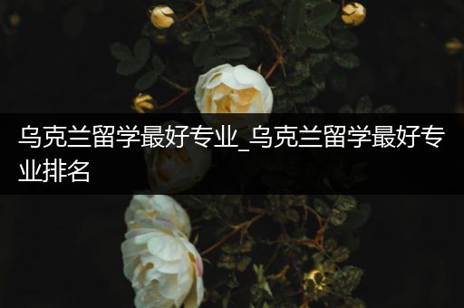 乌克兰留学最好专业_乌克兰留学最好专业排名