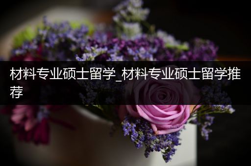 材料专业硕士留学_材料专业硕士留学推荐