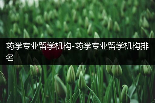 药学专业留学机构-药学专业留学机构排名