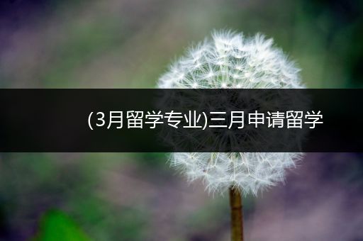 （3月留学专业)三月申请留学