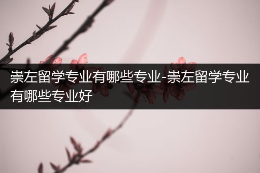 崇左留学专业有哪些专业-崇左留学专业有哪些专业好