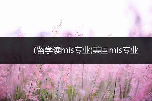 （留学读mis专业)美国mis专业