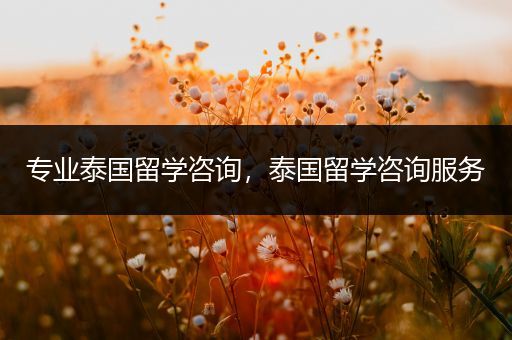 专业泰国留学咨询，泰国留学咨询服务