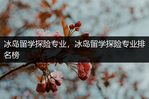 冰岛留学探险专业，冰岛留学探险专业排名榜