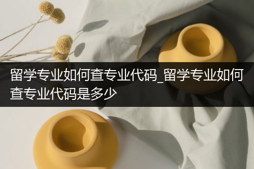 留学专业如何查专业代码_留学专业如何查专业代码是多少