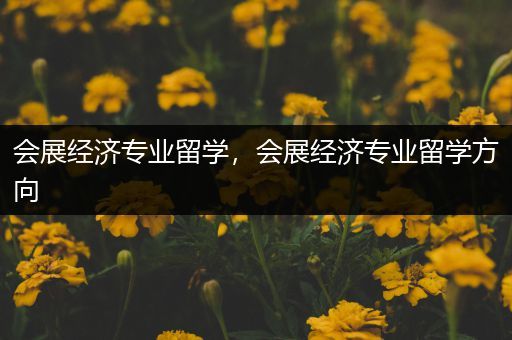 会展经济专业留学，会展经济专业留学方向