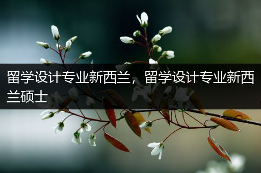 留学设计专业新西兰，留学设计专业新西兰硕士