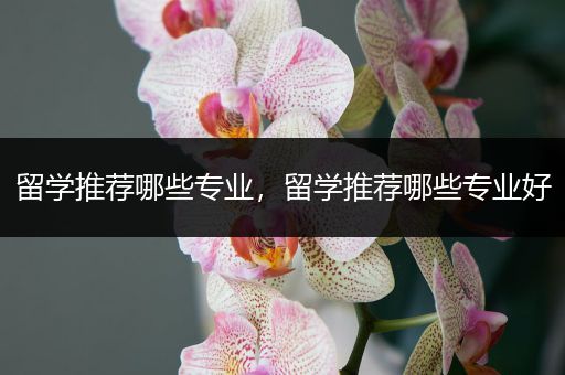 留学推荐哪些专业，留学推荐哪些专业好