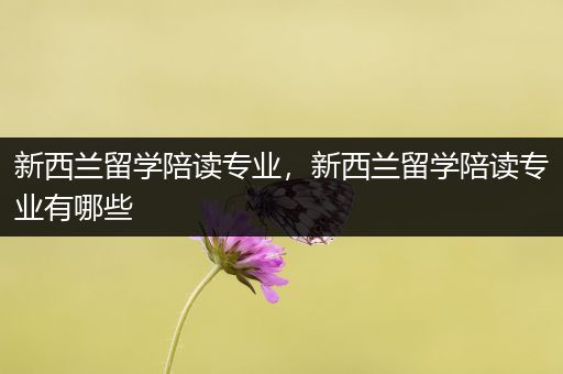 新西兰留学陪读专业，新西兰留学陪读专业有哪些