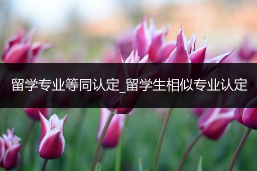 留学专业等同认定_留学生相似专业认定