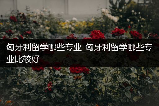 匈牙利留学哪些专业_匈牙利留学哪些专业比较好