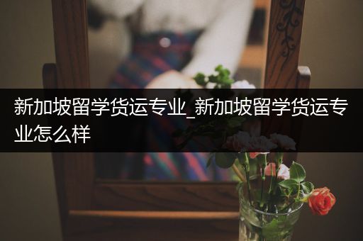 新加坡留学货运专业_新加坡留学货运专业怎么样