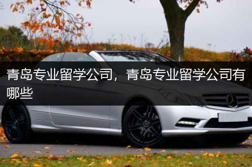 青岛专业留学公司，青岛专业留学公司有哪些