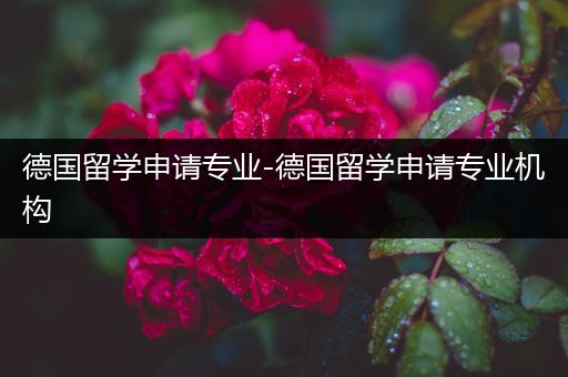 德国留学申请专业-德国留学申请专业机构