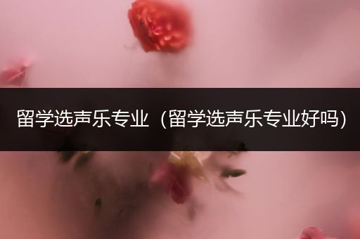 留学选声乐专业（留学选声乐专业好吗）