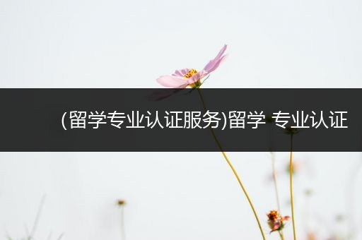 （留学专业认证服务)留学 专业认证