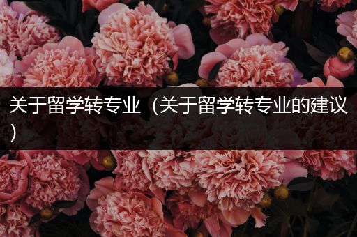 关于留学转专业（关于留学转专业的建议）