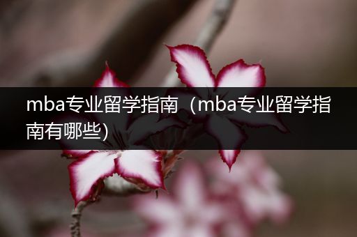 mba专业留学指南（mba专业留学指南有哪些）