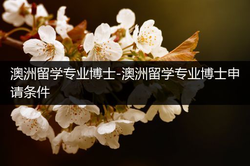 澳洲留学专业博士-澳洲留学专业博士申请条件