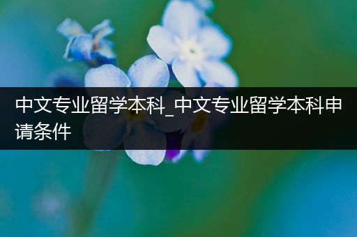 中文专业留学本科_中文专业留学本科申请条件