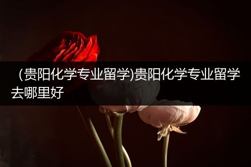 （贵阳化学专业留学)贵阳化学专业留学去哪里好