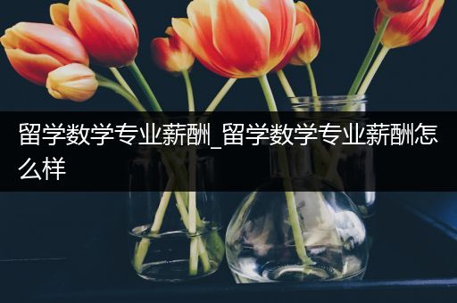 留学数学专业薪酬_留学数学专业薪酬怎么样