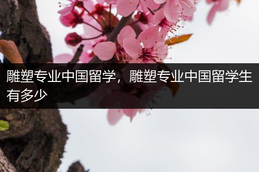 雕塑专业中国留学，雕塑专业中国留学生有多少