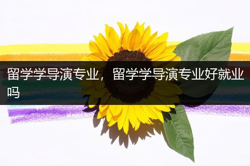 留学学导演专业，留学学导演专业好就业吗