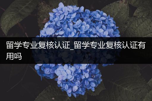 留学专业复核认证_留学专业复核认证有用吗