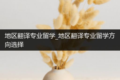 地区翻译专业留学_地区翻译专业留学方向选择