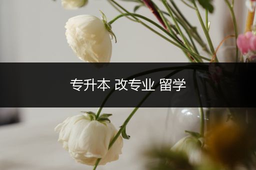 专升本 改专业 留学