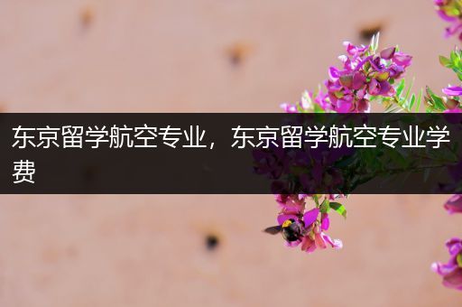 东京留学航空专业，东京留学航空专业学费