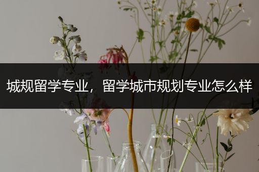 城规留学专业，留学城市规划专业怎么样