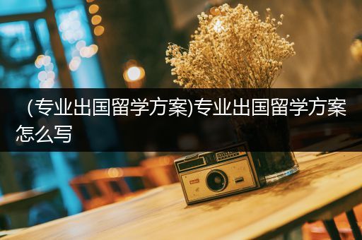 （专业出国留学方案)专业出国留学方案怎么写