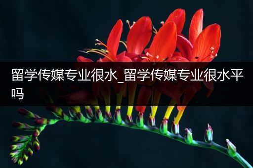 留学传媒专业很水_留学传媒专业很水平吗