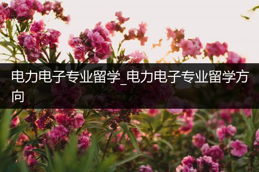 电力电子专业留学_电力电子专业留学方向