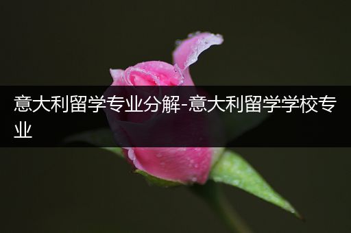 意大利留学专业分解-意大利留学学校专业