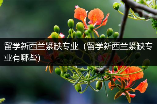 留学新西兰紧缺专业（留学新西兰紧缺专业有哪些）