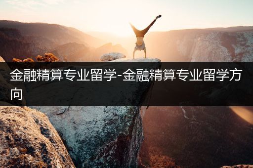 金融精算专业留学-金融精算专业留学方向