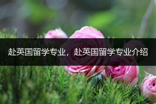 赴英国留学专业，赴英国留学专业介绍