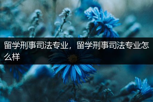 留学刑事司法专业，留学刑事司法专业怎么样