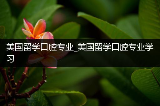 美国留学口腔专业_美国留学口腔专业学习