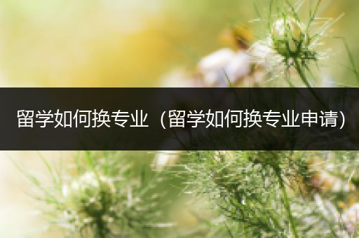 留学如何换专业（留学如何换专业申请）