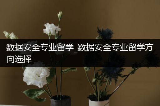 数据安全专业留学_数据安全专业留学方向选择