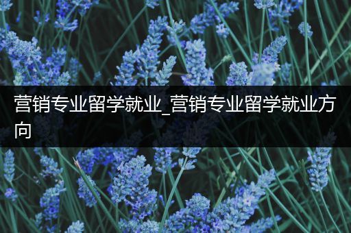 营销专业留学就业_营销专业留学就业方向