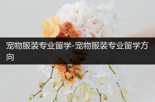 宠物服装专业留学-宠物服装专业留学方向