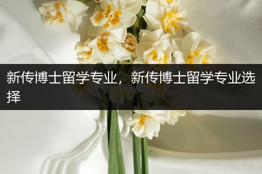 新传博士留学专业，新传博士留学专业选择